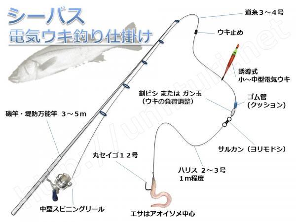 シーバス スズキ の夜の電気ウキ釣り仕掛けと釣り方 のんびり釣る夜釣りの定番 釣りおじさんの釣りネタ帳