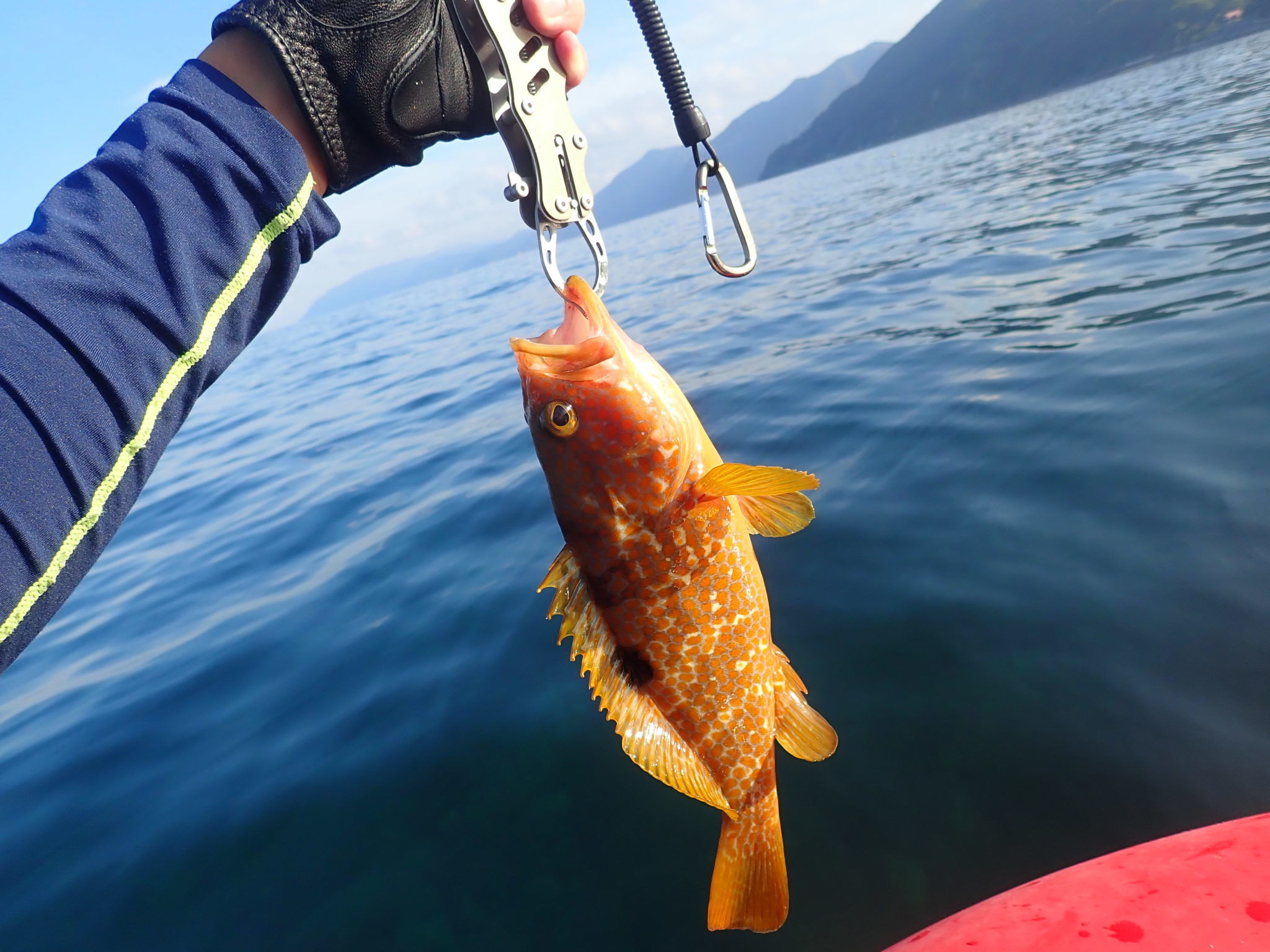 2019年11月の釣り計画！今堤防で釣れる魚 | 釣りおじさんの釣りネタ帳