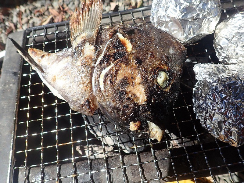 魚の頭 カマはじっくり炭火焼きすると旨さが激増 皮まで美味 釣りおじさんの釣りネタ帳