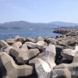 早瀬漁港はポイントが広く釣りやすい！福井県若狭の釣り場を解説