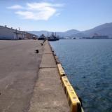 敦賀港岸壁は車横付けでサビキ釣りできる穴場的スポット
