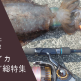 アオリイカエギングノウハウ