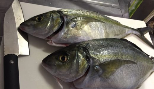 魚を上手に冷蔵庫で保存して美味しさを長持ちさせる熟成方法