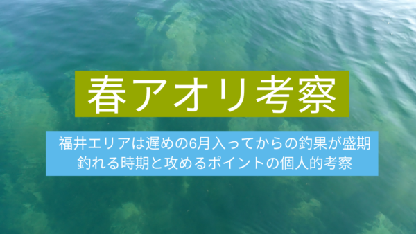 福井県の春アオリイカは6月からが本番 例年の傾向と釣れるポイントの個人的考察 釣りおじさんの釣りネタ帳