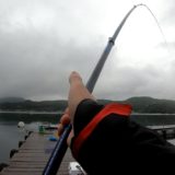 脈釣りで仕留める夏の海上釣り堀「フィッシングレインボー」