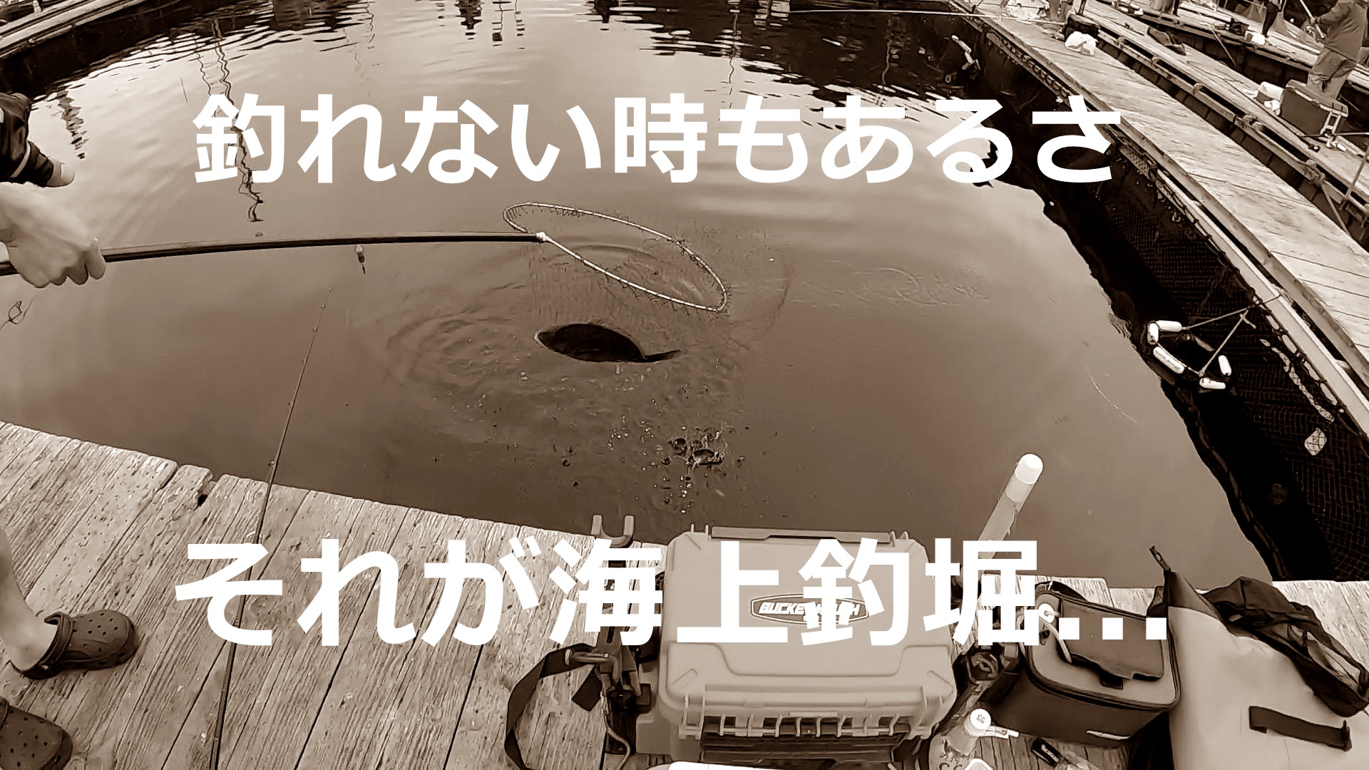 海上釣堀でまさかのボウズ 釣れない時もある釣堀のリアル 釣りおじさんの釣りネタ帳