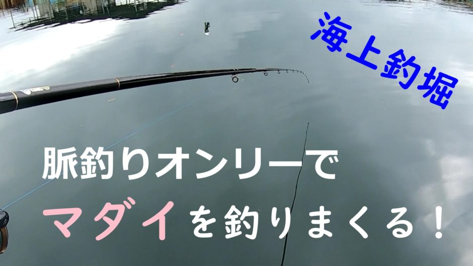 佐助屋でマダイ釣り